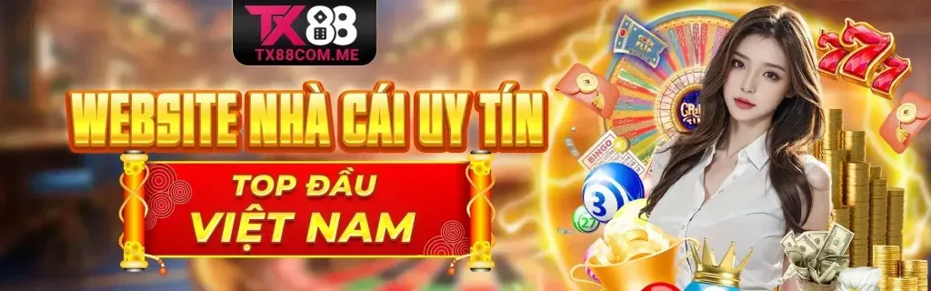 Hình ảnh chính Blog AFP88, nền tảng cá cược trực tuyến hàng đầu