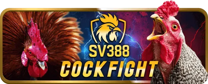 VIP Bạch Kim